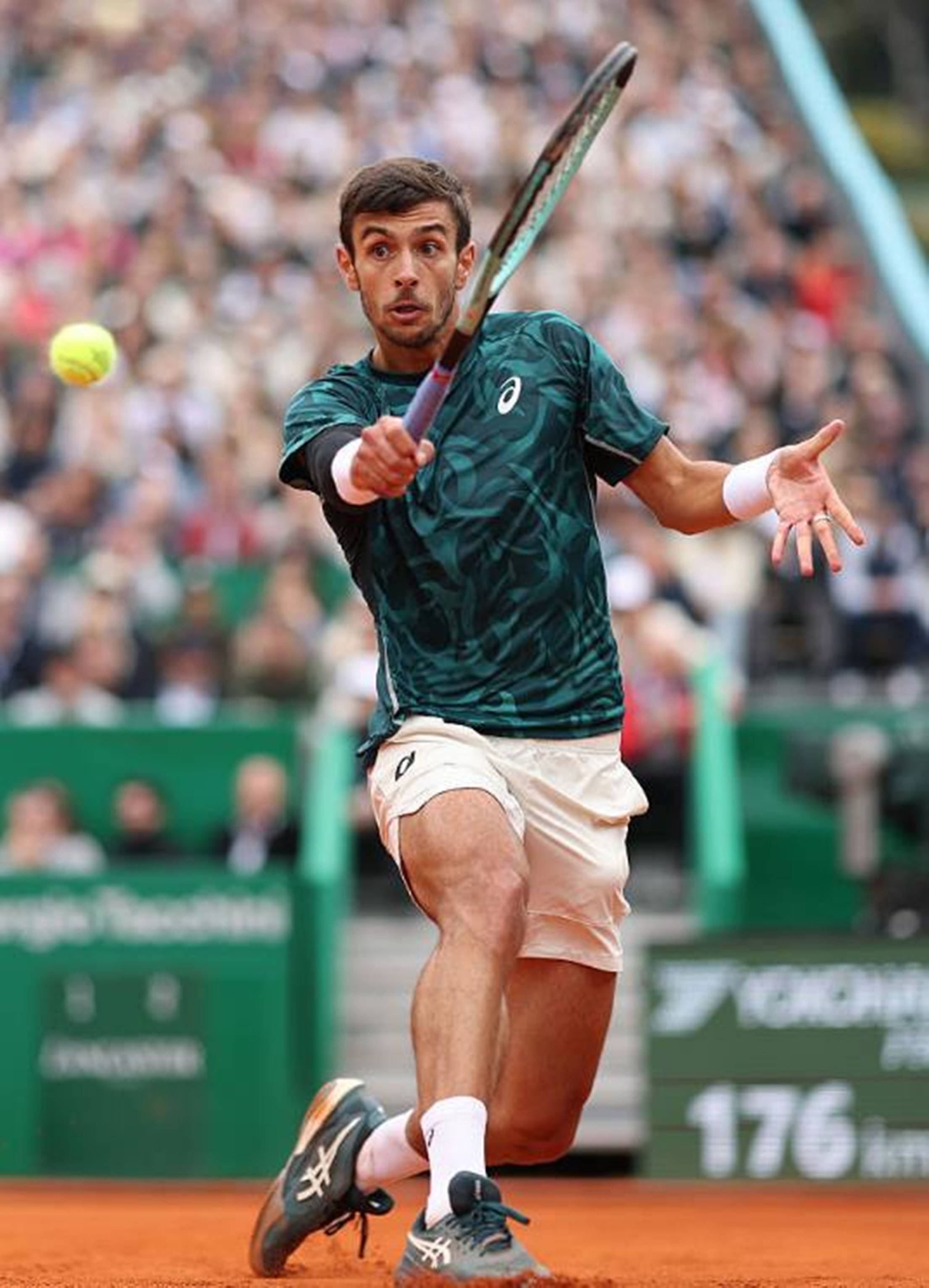 她逐渐缩小 她逐渐缩小